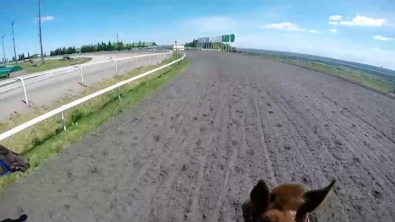 YouCut_20200806_214029146.mp4