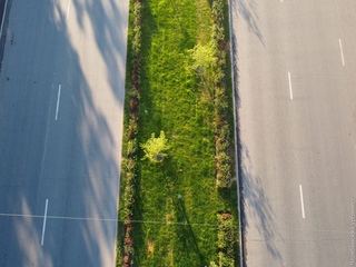 Линии без фона. Озеленение разделительной полосы. Трава на трамвайных путях. Зеленая полоса для фотошопа. Озеленение разделительной полосы дороги.