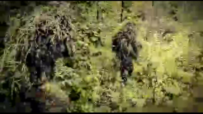 VIDEO-2020-02-23-10-48-59.mp4
