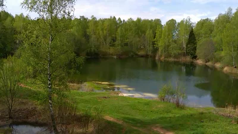 VID_20200516_092630.mp4