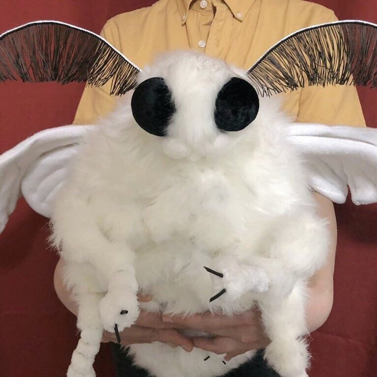 https://sun1-17.userapi.com/c854528/v854528331/1691b5/AWUIJNKYFEU.jpg