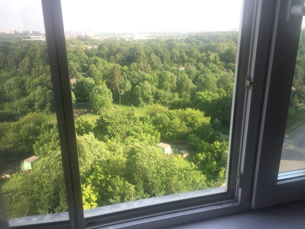 Доброго времени суток!<br>Сдам однокомнатную квартиру в пешей доступности от станции метро Скобелевская, а также жд станции Бутово. <br>В квартире есть все необходимое для проживания. <br>Цена 26000тр. Без посредников , риелторов просьба не беспокоить ,не тратьте не своё не мое время <br>За всеми интересующими вопросами в лс.89205427732 - фото Фото: Доброго времени суток!<br>Сдам однокомнатную квартиру в пешей доступности от станции метро Скобелевская, а также жд станции Бутово. <br>В квартире есть все необходимое для проживания. <br>Цена 26000тр. Без посредников , риелторов просьба не беспокоить ,не тратьте не своё не мое время <br>За всеми интересующими вопросами в лс.89205427732