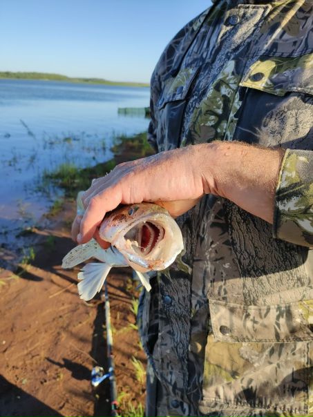 Рыбалка — Черновское водохранилище, Оренбургская область, 51.480, 54.195