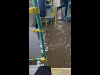 Новый вид валдая на калёсах стоймость проезда 39р - Евгений Гайда