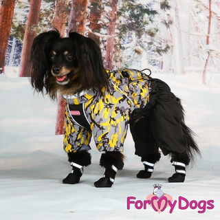 зимняя попона для джек рассел терьера. попона для собак питбуля. Formydogs куртка тигр синяя а1. Royal pet дождевик вельш-корги сука. комбинезон для собак золотой.